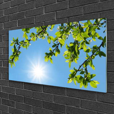 akrylový obraz Slunce Příroda