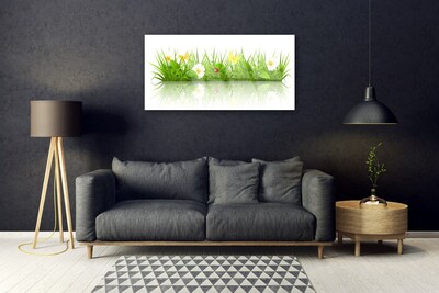 akrylový obraz Tráva Příroda Rostlina