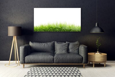 akrylový obraz Tráva Příroda Rostlina