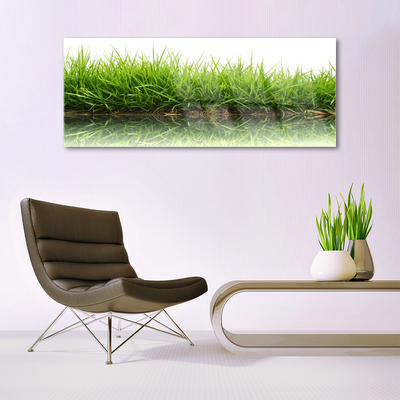 akrylový obraz Tráva Voda Příroda Rostlina