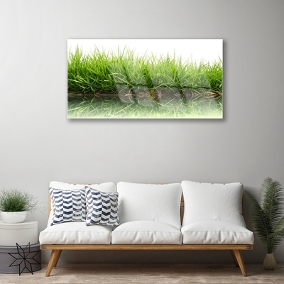 akrylový obraz Tráva Voda Příroda Rostlina