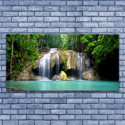 akrylový obraz Vodopád Strom Příroda