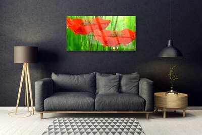 akrylový obraz Máky Rostlina Příroda