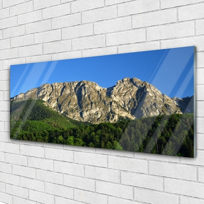 akrylový obraz Hora Les Příroda