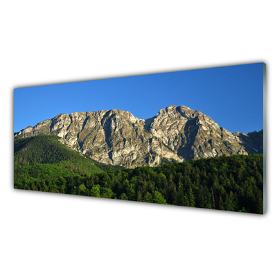 akrylový obraz Hora Les Příroda