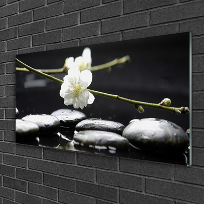 akrylový obraz Květ Kameny Umění