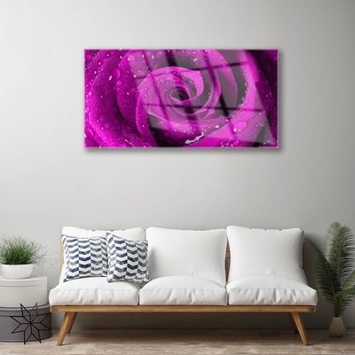 akrylový obraz Růže Květ Rostlina