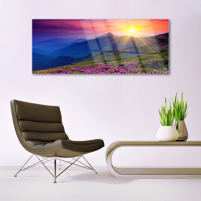 akrylový obraz Hory Květ Louka Krajina