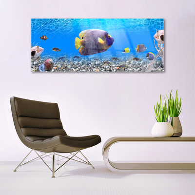 akrylový obraz Ryba Příroda