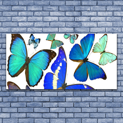 akrylový obraz Motýli Příroda