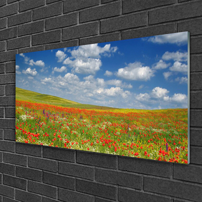 akrylový obraz Louka Květiny Krajina