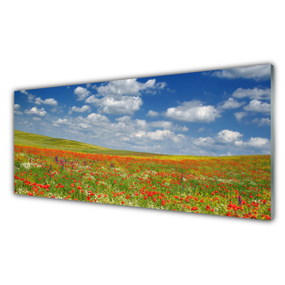 akrylový obraz Louka Květiny Krajina