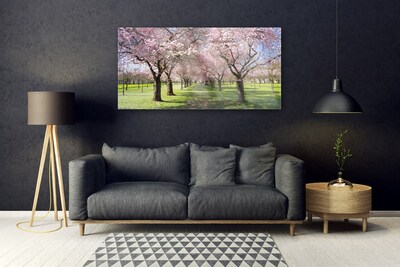 akrylový obraz Stezka Stromy Příroda