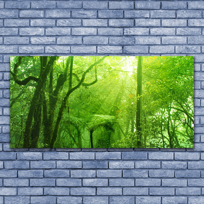 akrylový obraz Stromy Příroda
