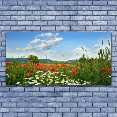 akrylový obraz Louka Květiny Příroda