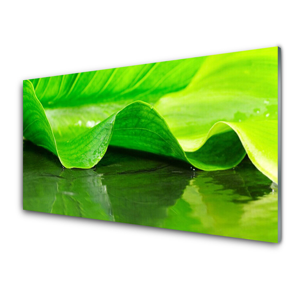 akrylový obraz Liść Roślina Natura