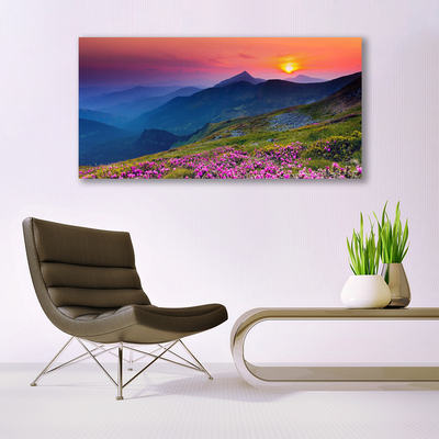 akrylový obraz Hory Louka Květiny Krajina
