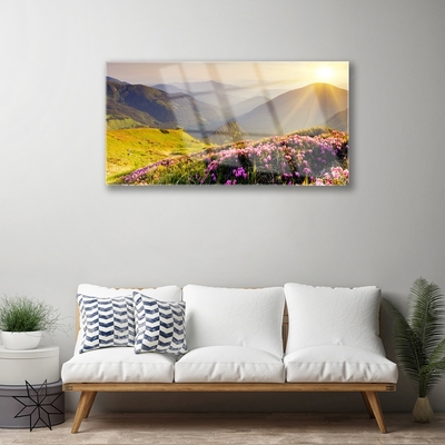 akrylový obraz Hora Louka Krajina