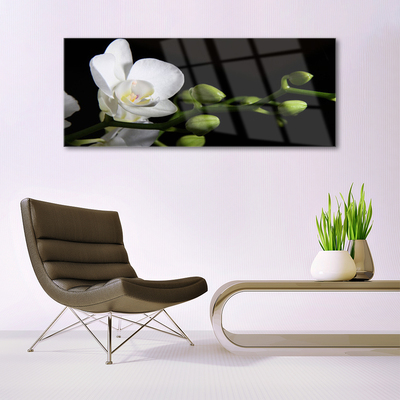 Akrylové obraz Květ Rostlina Příroda