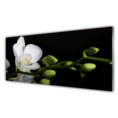 akrylový obraz Květ Rostlina Příroda