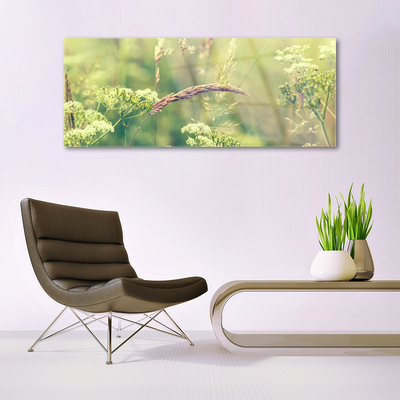 akrylový obraz Divoké Rostliny Příroda