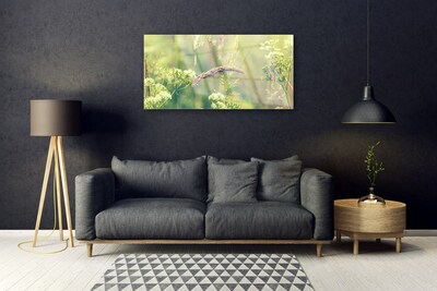 akrylový obraz Divoké Rostliny Příroda