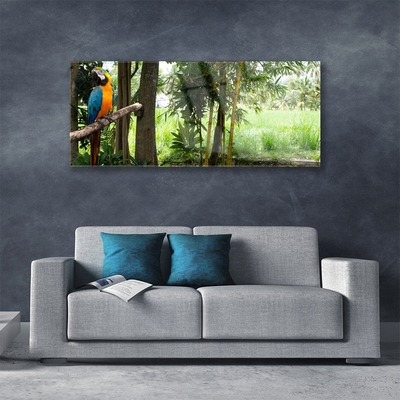 akrylový obraz Papoušek Stromy Příroda
