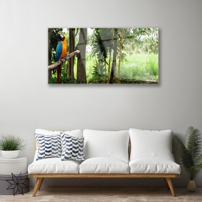 akrylový obraz Papoušek Stromy Příroda