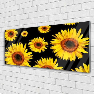 akrylový obraz Slunečnice Rostlina Příroda