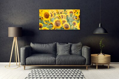 akrylový obraz Slunečnice Rostlina Příroda