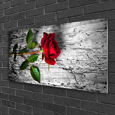 akrylový obraz Růže Květ Rostlina