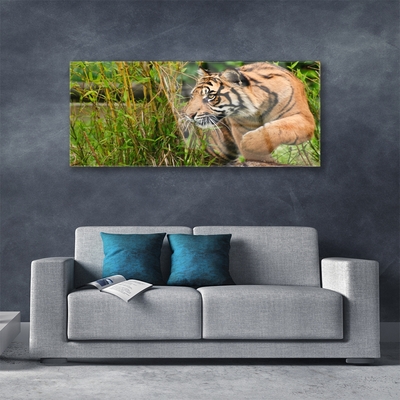 akrylový obraz Tygr Zvířata