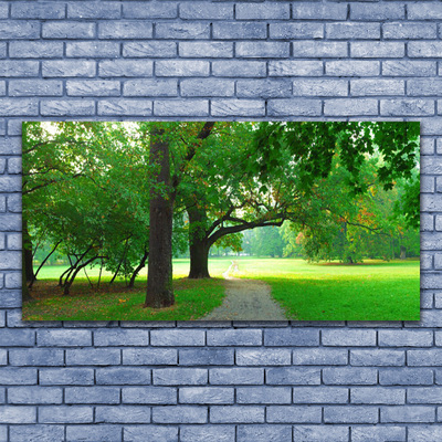 akrylový obraz Stezka Stromy Příroda