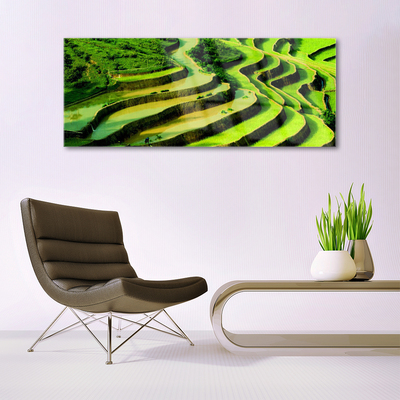 akrylový obraz Pole Rýže Les Umění