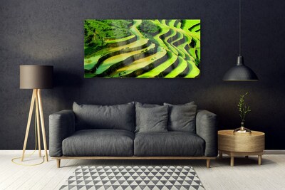 akrylový obraz Pole Rýže Les Umění