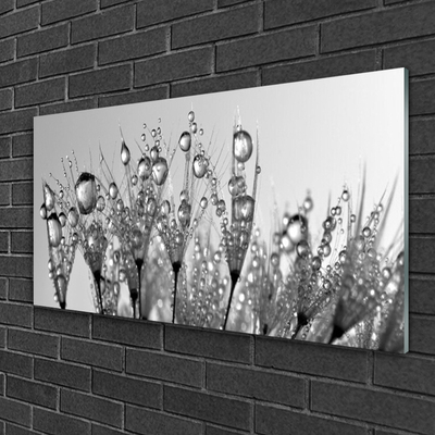 akrylový obraz Abstrakce Rostlina Příroda