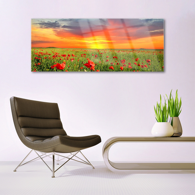 akrylový obraz Máky Slunce Rostlina Příroda