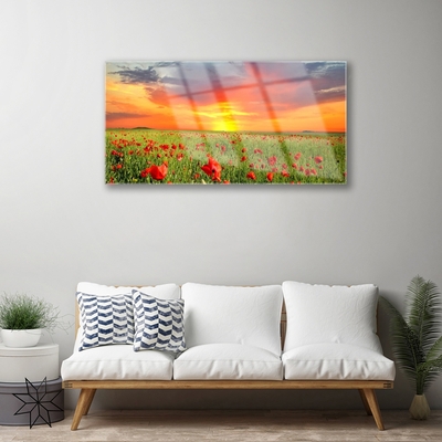 akrylový obraz Máky Slunce Rostlina Příroda