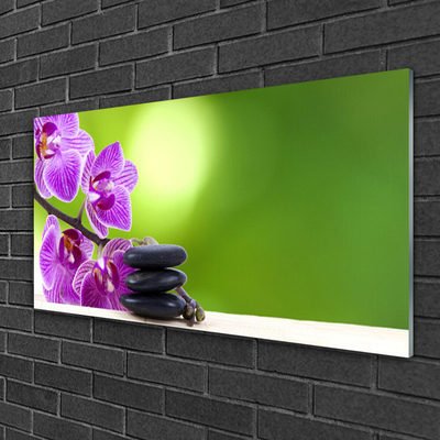 akrylový obraz Květ Kameny Rostlina