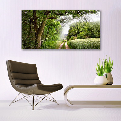 akrylový obraz Stromy Stezka Příroda