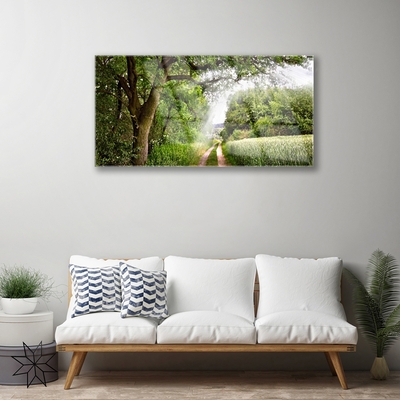 akrylový obraz Stromy Stezka Příroda