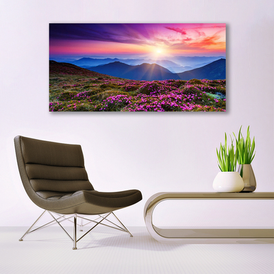 akrylový obraz Hora Louka Slunce Krajina
