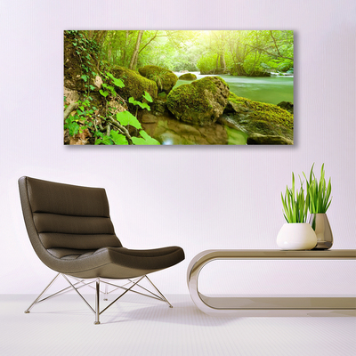akrylový obraz Jezero Kameny Příroda
