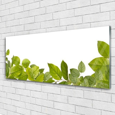 akrylový obraz Listy Příroda Rostlina