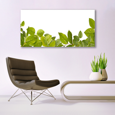 akrylový obraz Listy Příroda Rostlina