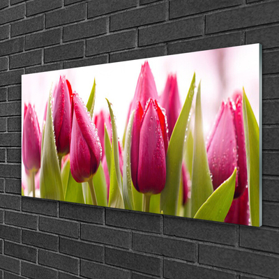 akrylový obraz Tulipány Květiny Rostlina