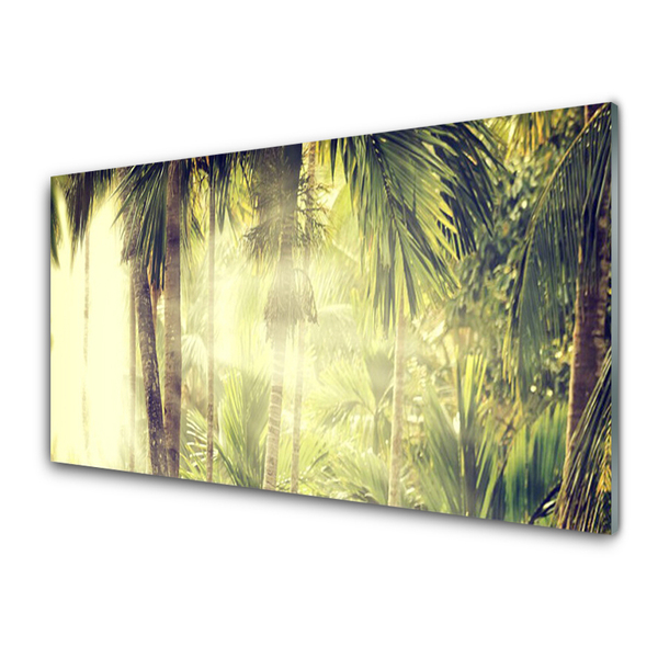 akrylový obraz Les Palmy Stromy Příroda