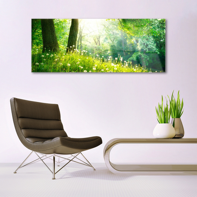 akrylový obraz Louka Příroda Rostlina
