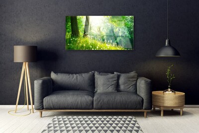 akrylový obraz Louka Příroda Rostlina