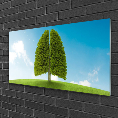 akrylový obraz Tráva Strom Plíce Příroda